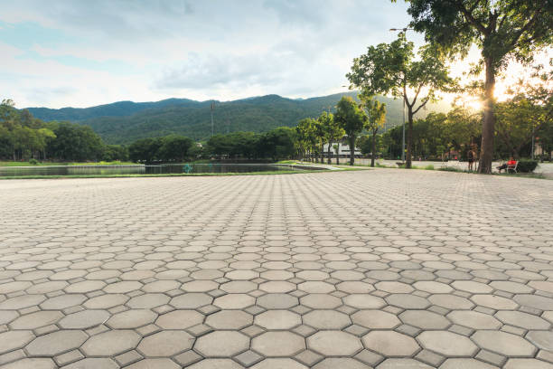 Best Residential Driveway Paver Services  in Grandview, WA