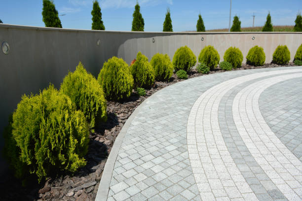 Reasons to Select Us for Your Driveway Paving Requirements in Grandview, WA